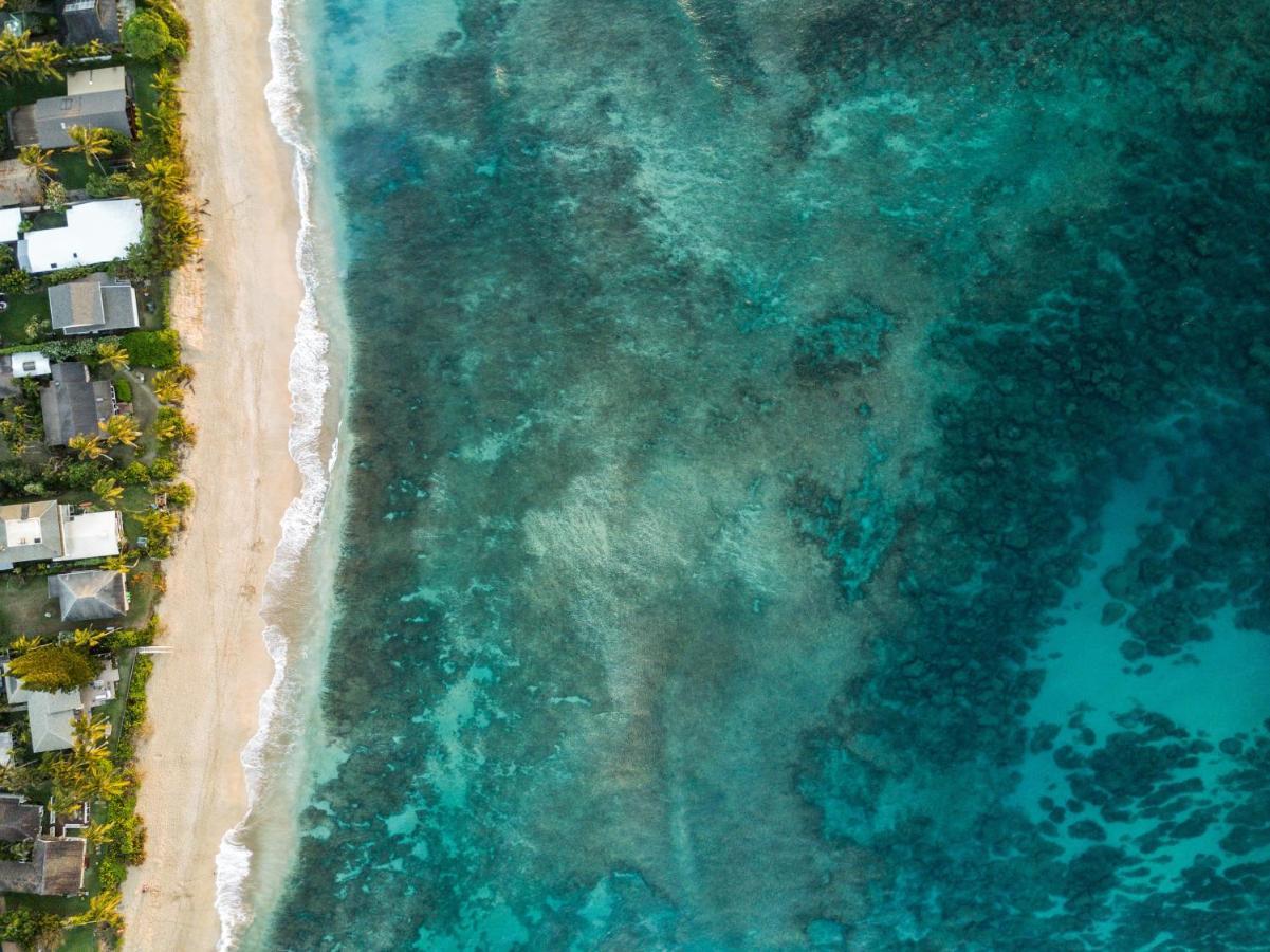 Hummingbird Oceanfront Cottage Hau'ula 外观 照片